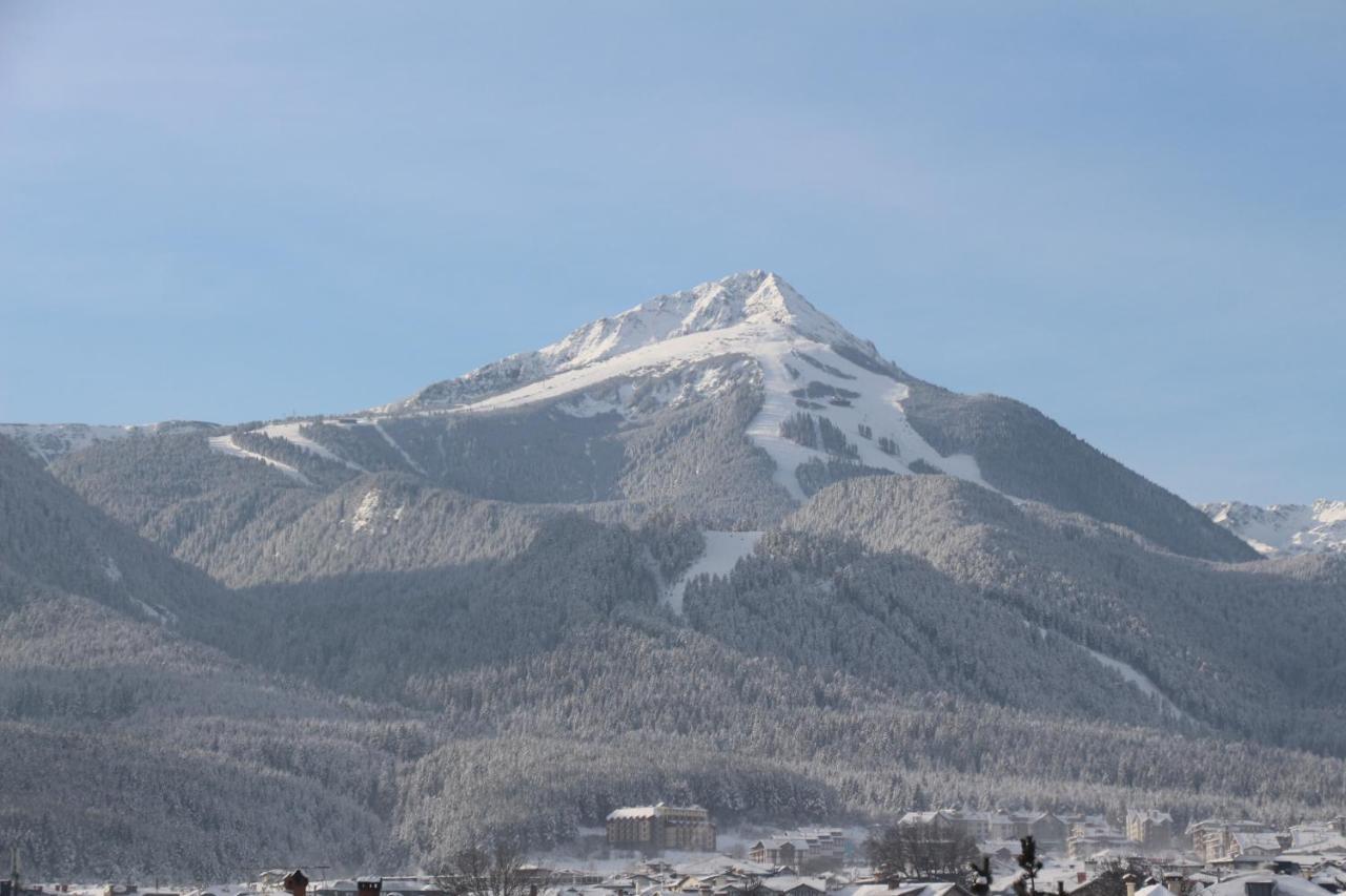 Hotel Alpin - 91 バンスコ エクステリア 写真